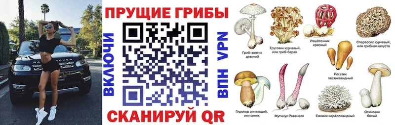 наркота shop формула Галлюциногенные грибы прущие грибы Весьегонск blacksprut tor